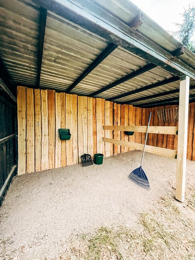 Wunderschoenes Chalet Mit Gaestehaus In Der Natur Mit Fass-Sauna Зангерхаузен Экстерьер фото