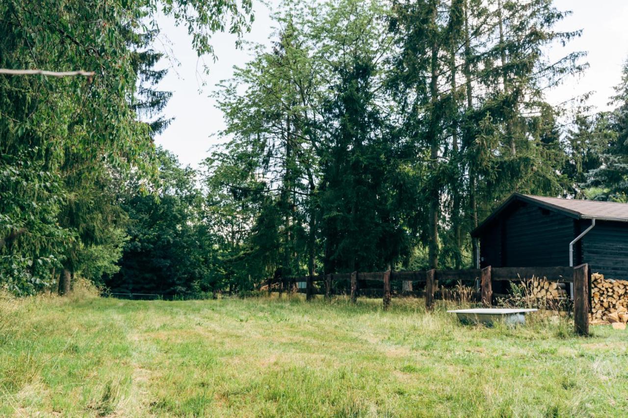 Wunderschoenes Chalet Mit Gaestehaus In Der Natur Mit Fass-Sauna Зангерхаузен Экстерьер фото